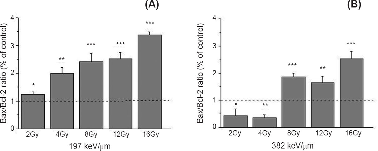Bax/Bcl-2 ratio 48 h after irradiation of HTB140 cells with 12C ions of 197 (A) and 382 keV/μm (B), obtained by Western blot. Irradiation doses were from 2 to 16 Gy. β-Actin was used as internal loading control. Mean values, obtained from three experiments, of Bax/Bcl-2 ratios for irradiated samples were normalized to Bax/Bcl-2 ratio for control sample which was set as 1. P*<0.05, **<0.01, ***<0.001 compared to the control.